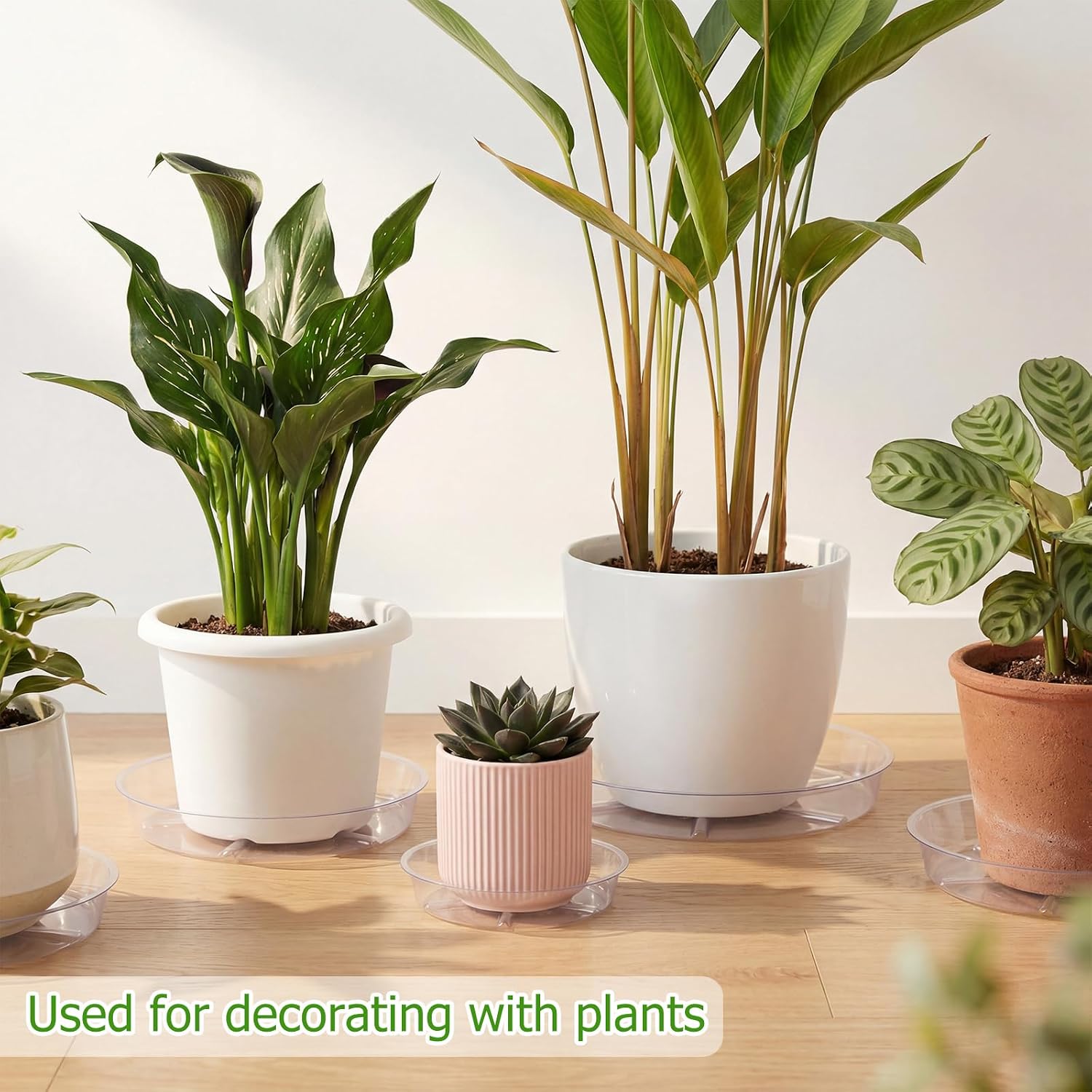 Gejoy 40 Pack Plant Saucers 6inch /8inch /10inch, Thick Durable Clear Plastic Plant Trays for Pots, Heavy Duty Drip
