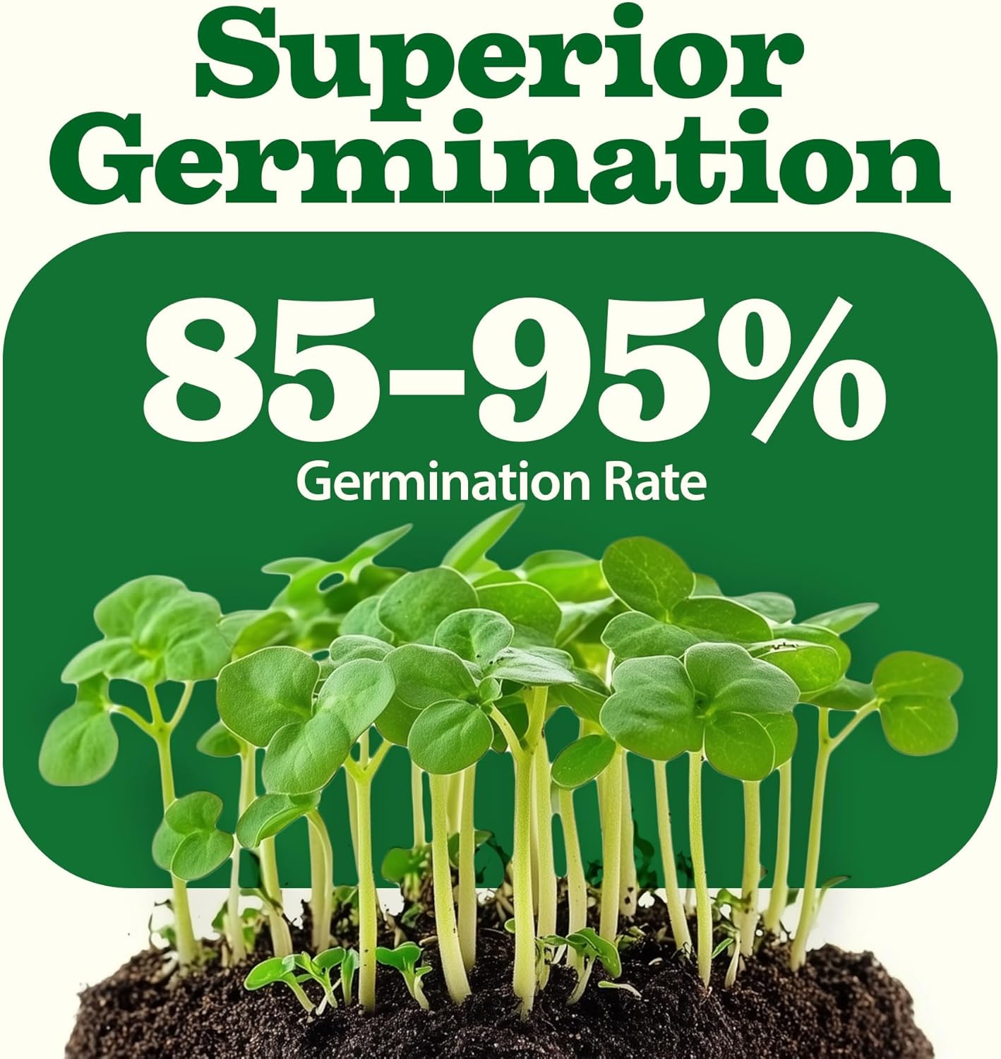 HOME GROWN 55 Variety Survival Seed Vault 28,000+ Heirloom Non-GMO Vegetable Seeds for Planting, High Germination