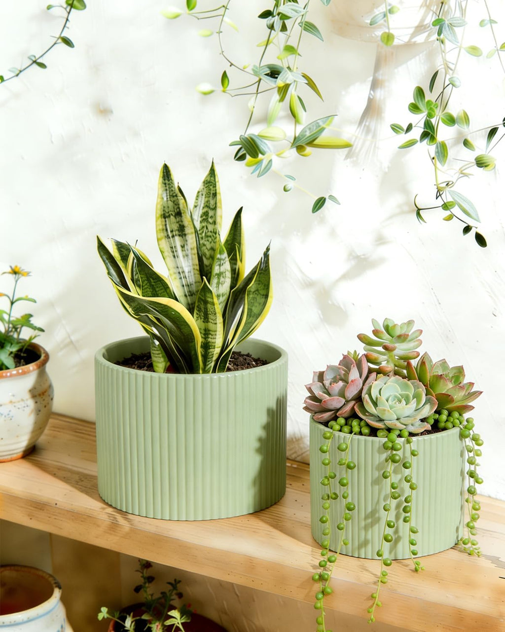 Ceramic Plant Pots, 8.1 + 6 Inch Planters for Indoor Plants, Modern Flower Pot for Plant with Drainage, Medium Cylinder