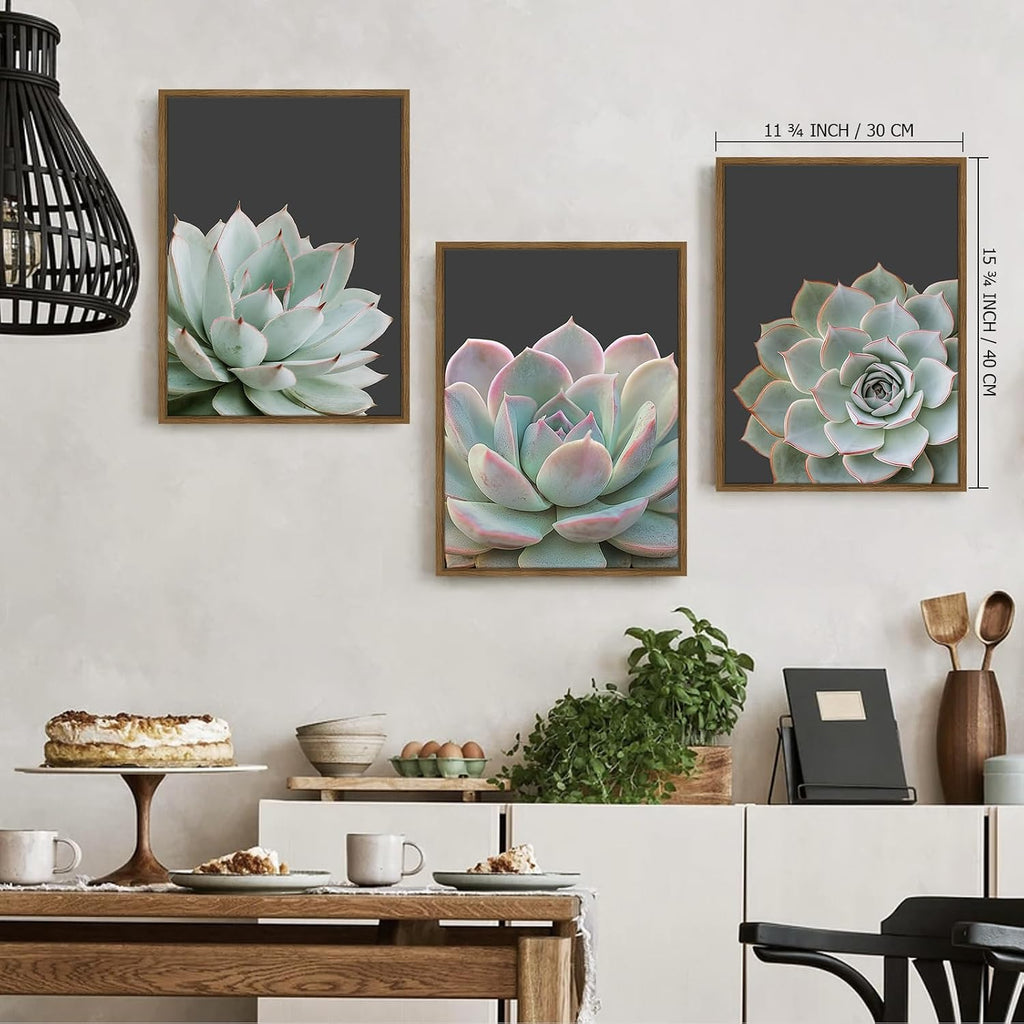 Zessonic Succulent Wall Art,Nature Plant Echeveria Wall Decor,12"x16"x3 | Nature Plant Echeveria Cactus Wall
