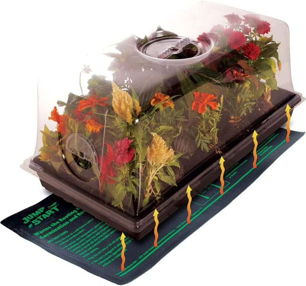 Jump Start CK64060 120V 17W Germination Hot House with Heat Mat, Watertight Tray, Cell Insert and 7" Humidity Dome