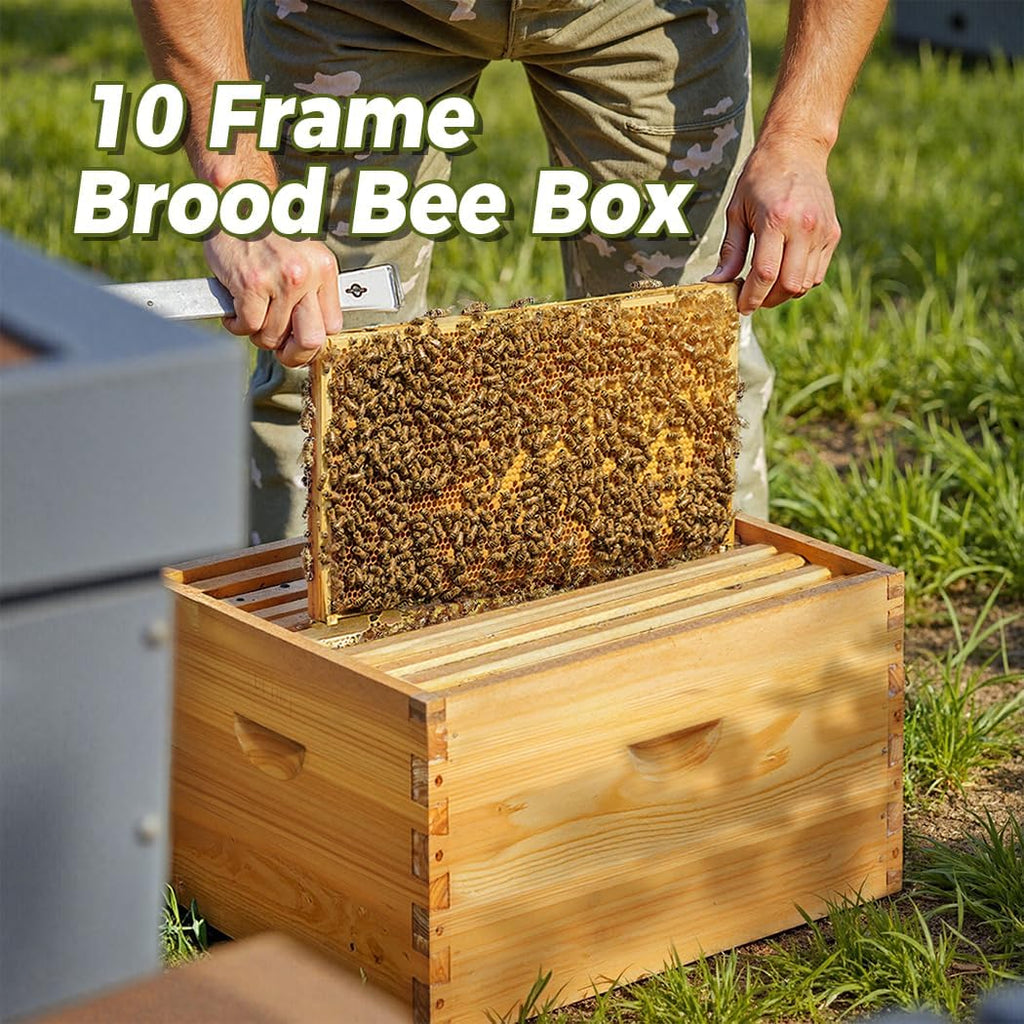 POLLIBEE 10 Frame Beehive Box, Langstoth Deep Brood Box Sections of Wood for Beehives, Bee Box Dipped in Heavy Beeswax