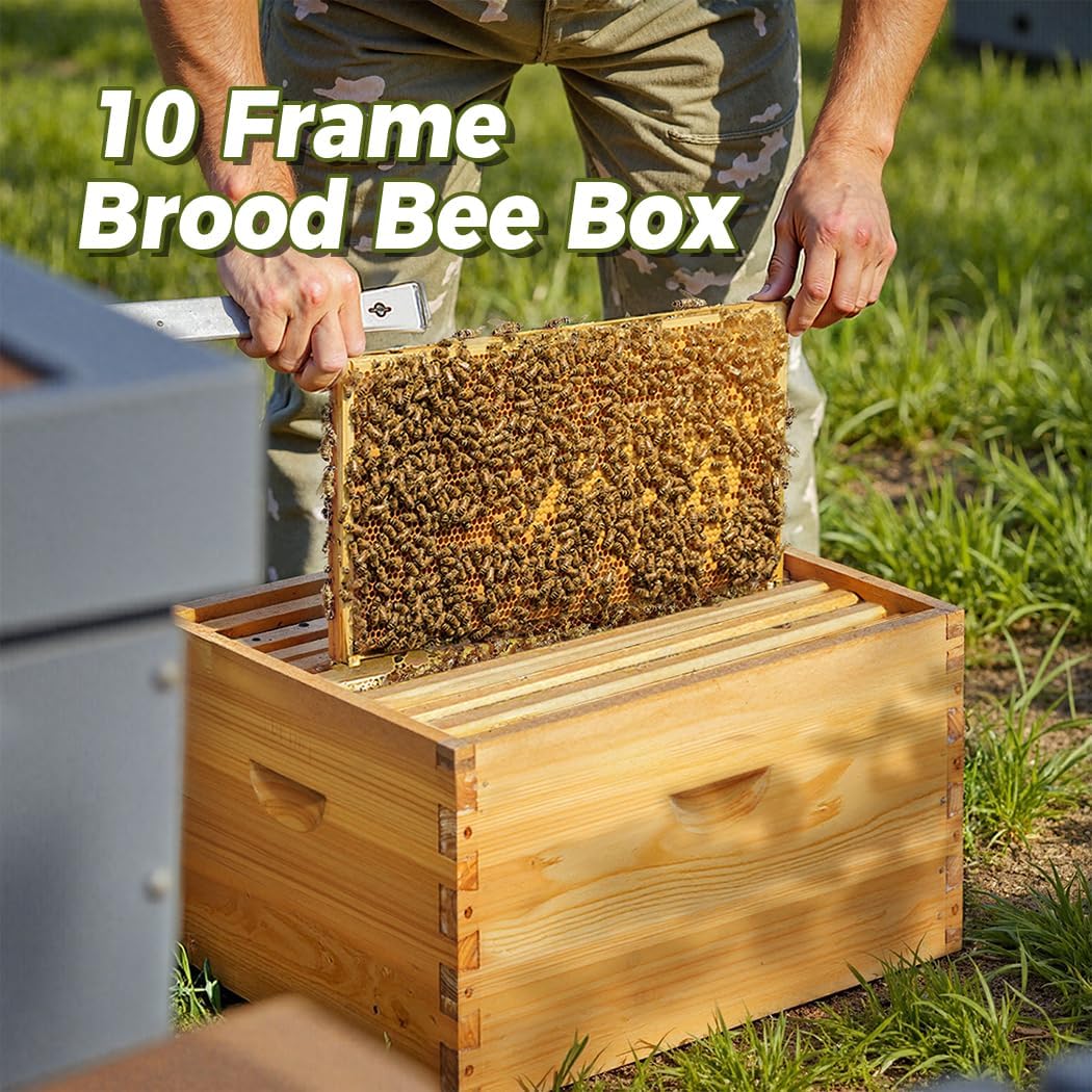 POLLIBEE 10 Frame Beehive Box, Langstoth Deep Brood Box Sections of Wood for Beehives, Bee Box Dipped in Heavy Beeswax