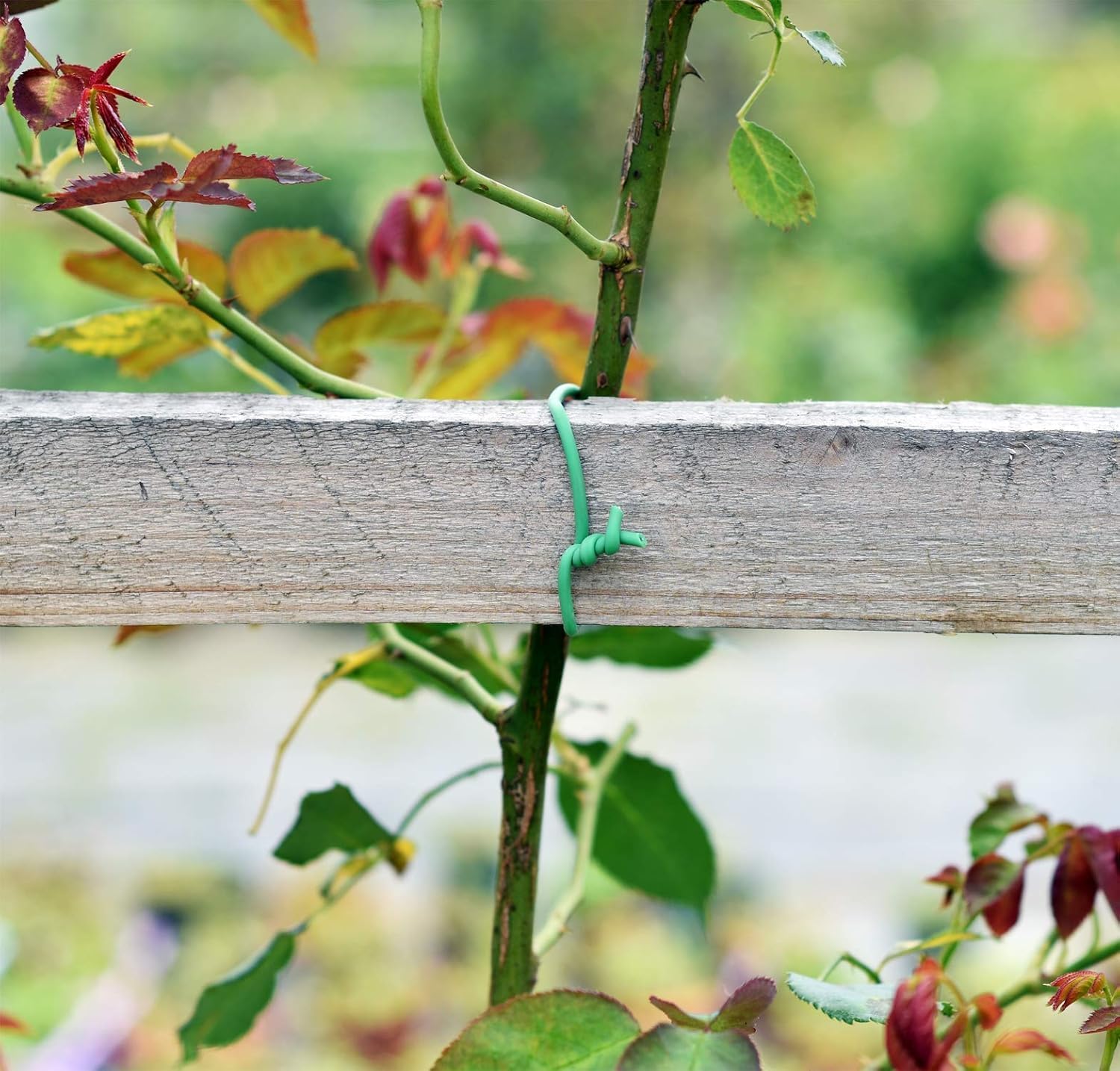 PGarden-EZ Heavy Duty Garden Plant Ties, 250 Feet Soft Twist Ties for Vines Tomatoes, Thick Green Zip Ties for Climbing