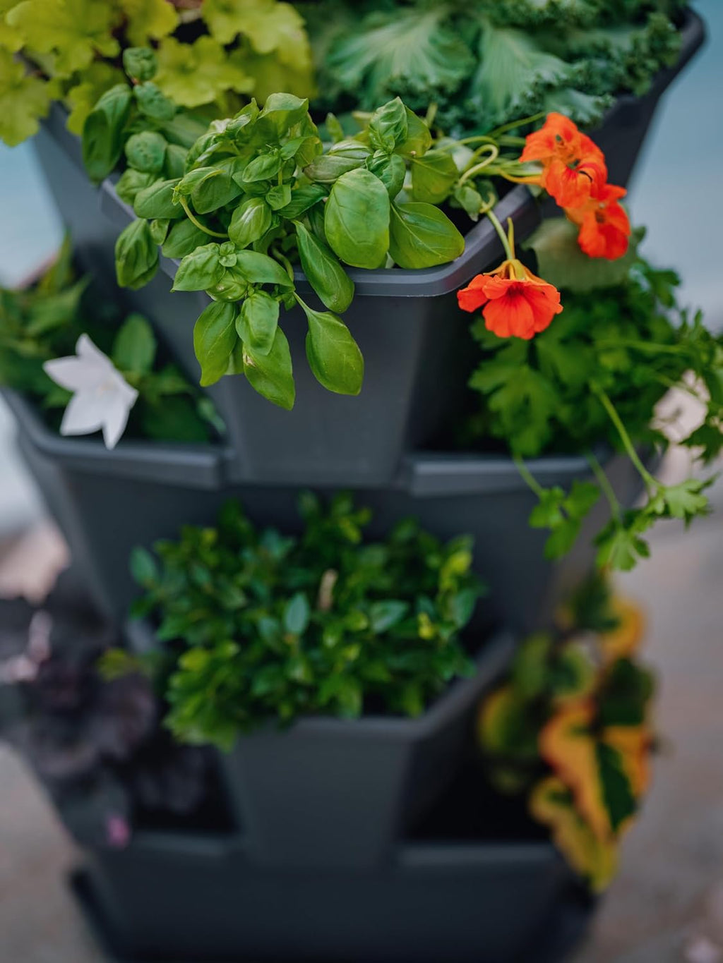 BUZZY Seeds Starter Stackable Vertical Planter – 4-Level Raised Garden Tower for Potatoes, Strawberries, Vegetables &