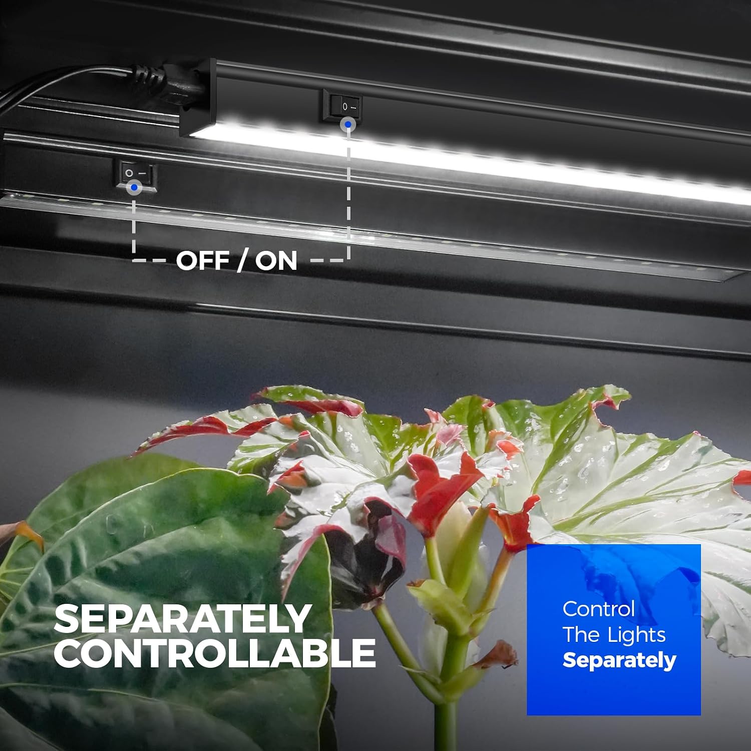 Barrina T5 LED Grow Lights, 1FT 10W (2 X 5W), 5000K Full Spectrum, 2 Packs | Grow Light Strip for Indoor Growing