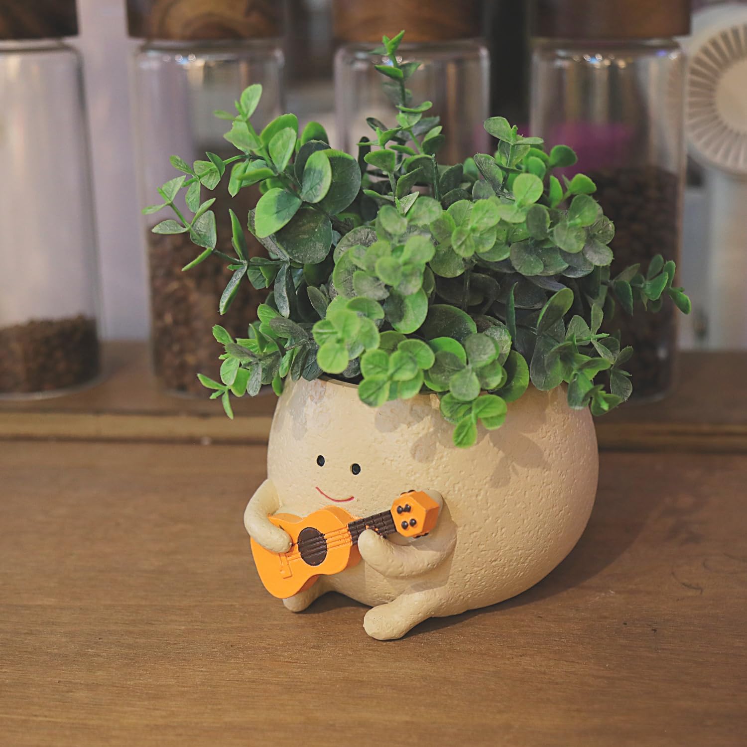 Smily Face Planter Pot with Drainage Hole Cute Resin Head Planters for String of Pearls Plant Live Unique Guitar