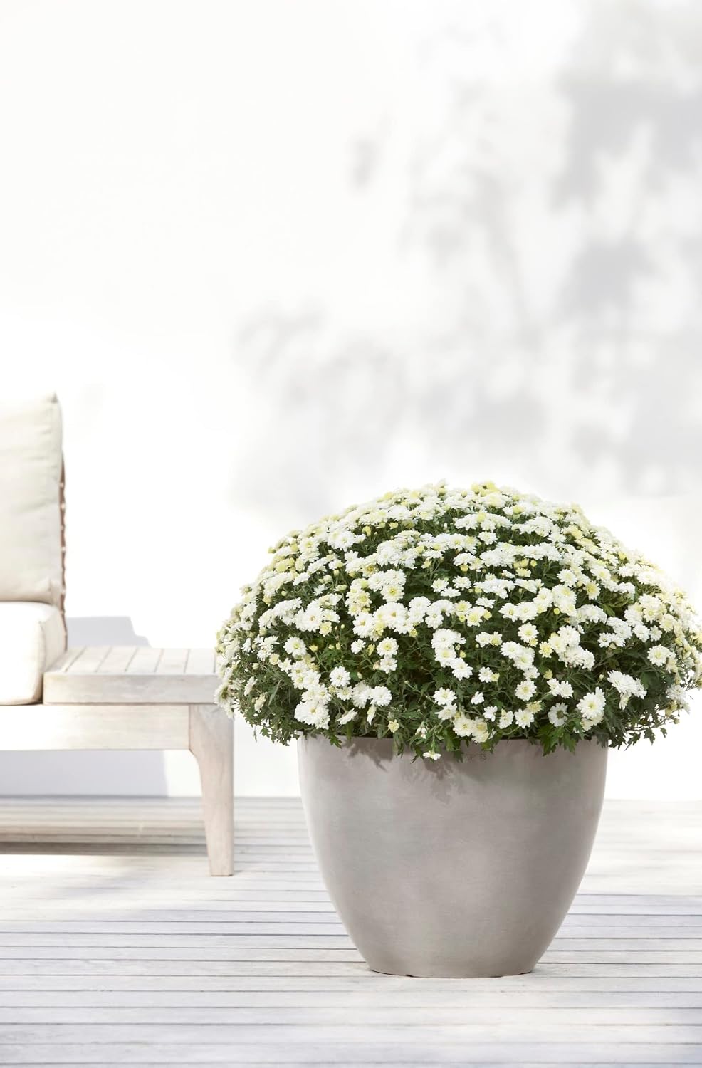 Ecopots Antwerp Round Tapered Flower Planter, Taupe, 12" | Modern Style, Durable Recycled-Based Composite Construction