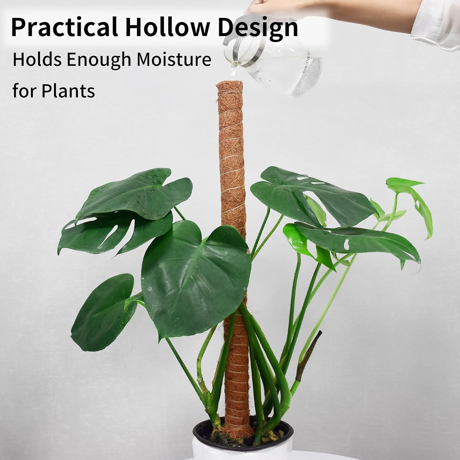 Moss Pole for Plants Monstera,【8 Pack】 23.6 inch Plant Support Pole, Extendable Coir Totem Pole for Potted Plants