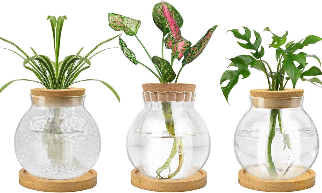 Plant Propagation Station, Water Planting for Plants with Tray & Wooden Saucer, Hydroponics Plants Jars Home Office