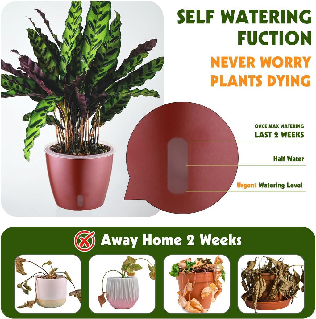 Self Watering Pots for Indoor Plants, 4-Pack 6.7'' Self Watering Planter with Drainage Holes, Small African Violet Pots