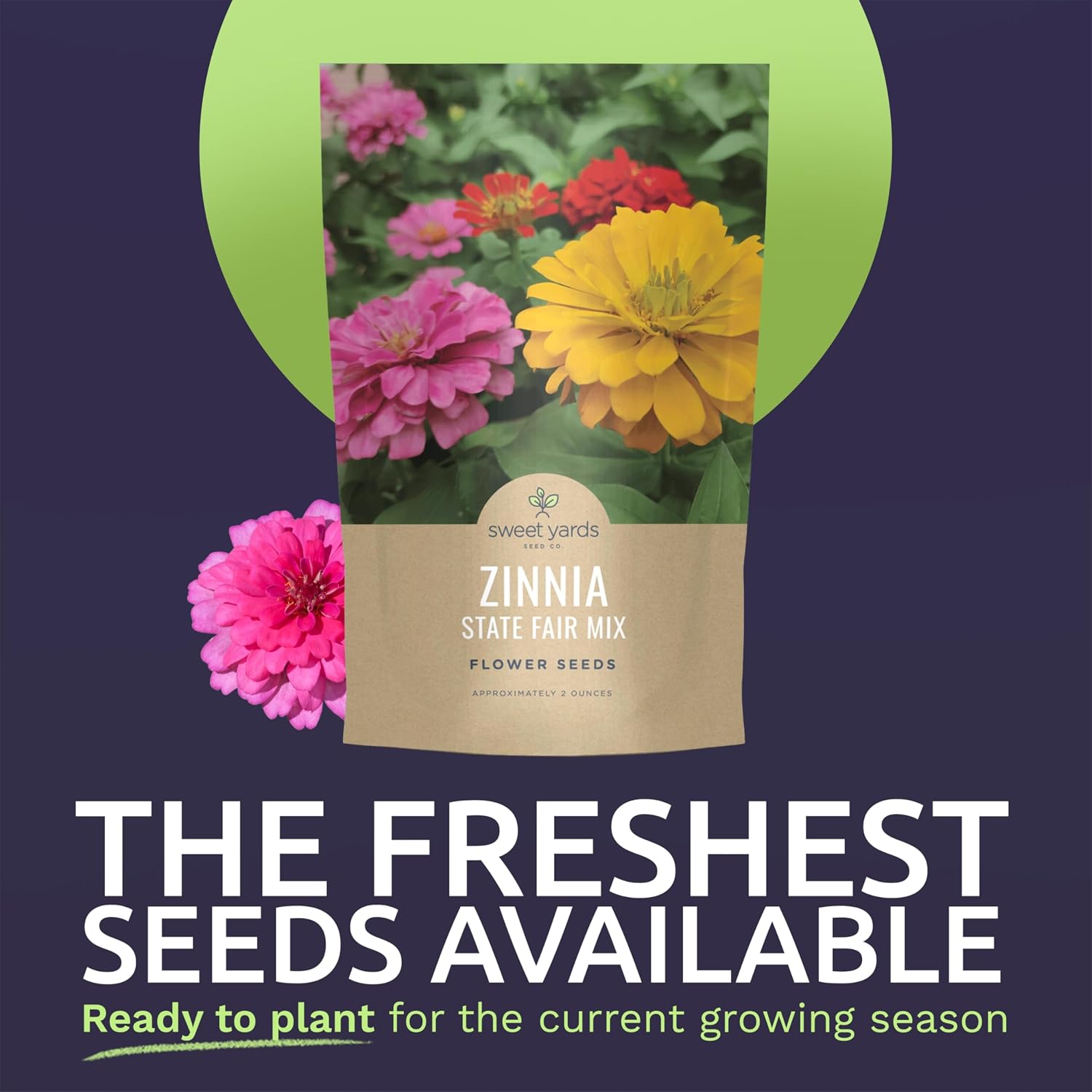 Zinnia State Fair Mix – Large 2 Ounces Seed Packet – 4,000 Flower Seeds for Planting