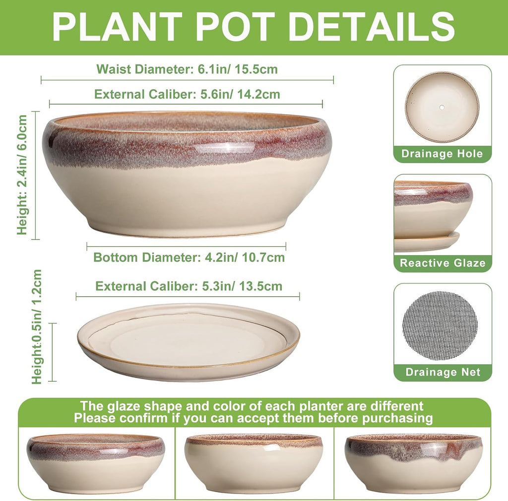 SQOWL Small Bonsai Pots - 6 Inch Ceramic Plant Pots for Succulents, Shallow Planter with Drainage Hole and Saucer