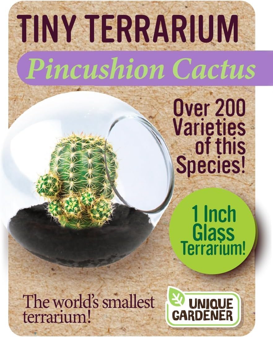 Tiny Terrarium Plant Seeds 6 Variety Cacti Pack, DIY Indoor Succulents and Live Plants for Home or Garden Planting
