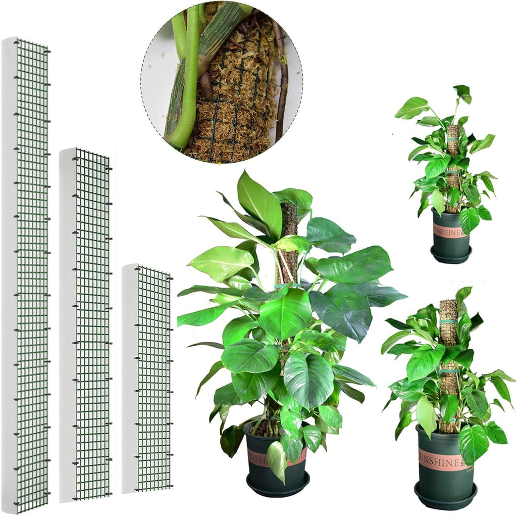 Moss Pole DIY Kit, D Shape Sphagnum Moss Pole Monstera Plant Support for Climbing Plants, DIY Plant Stakes Work with