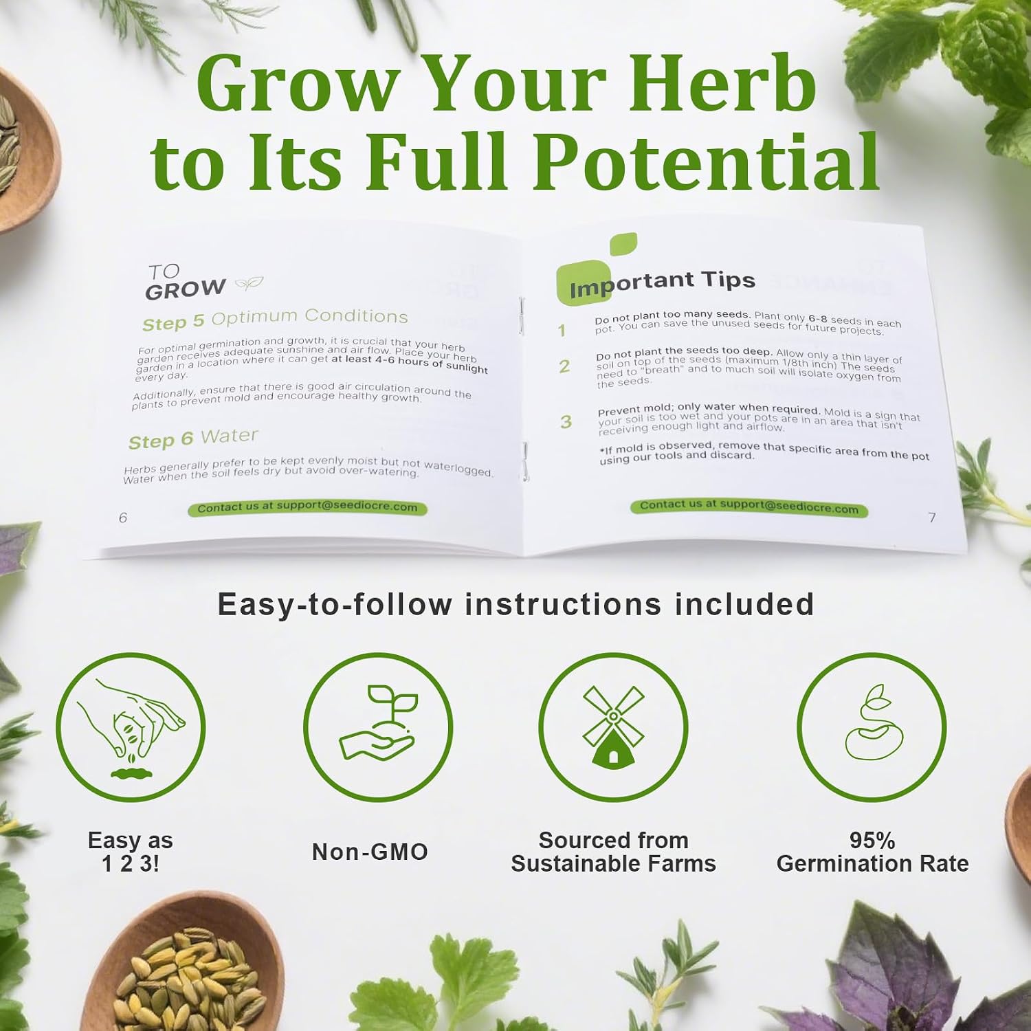 Indoor Herb Garden Starter Kit, 10 Non-GMO Herb Seeds for Basil, Parsley, Thyme, Mint, Cilantro, Dill, Oregano, Chives