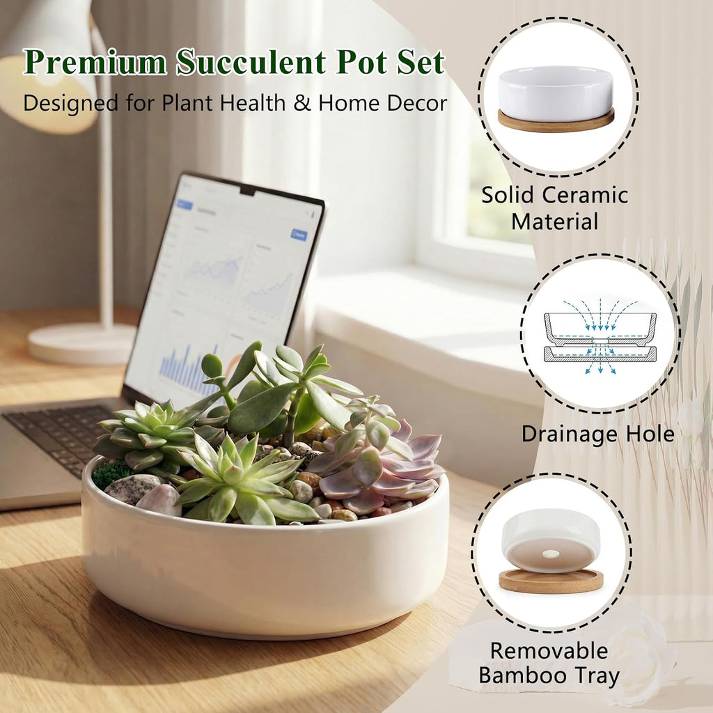 ZOUTOG Succulent Pots,6 Inch Succulent Planters with Drainage and Tray,White Ceramic Planters for Indoor Plants,Round