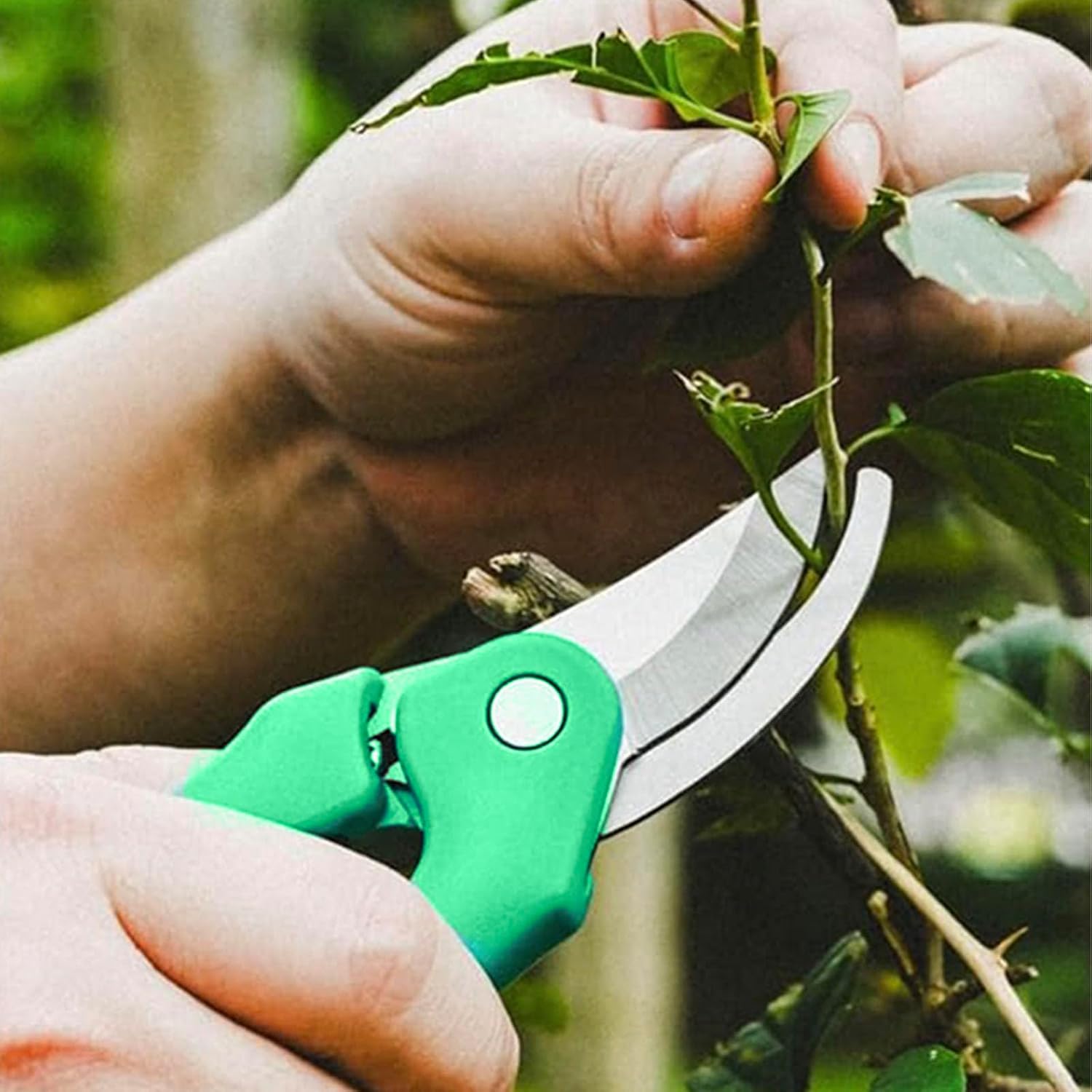24 Piece Bonsai Tree Kit, Bonsai Trimming Tool Set, Bonsai Starter Kit, Carbon Steel Scissors Cutter Shears, Stainless