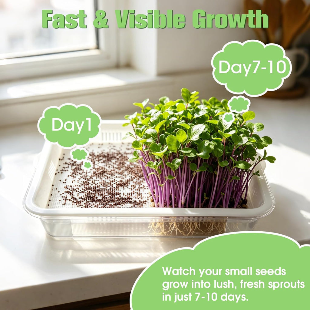 3 Pack Hard Acrylic Microgreens Growing Trays, Visual Soilless Sprouting Kit with Silicone Mats & Spray Bottle, Seed