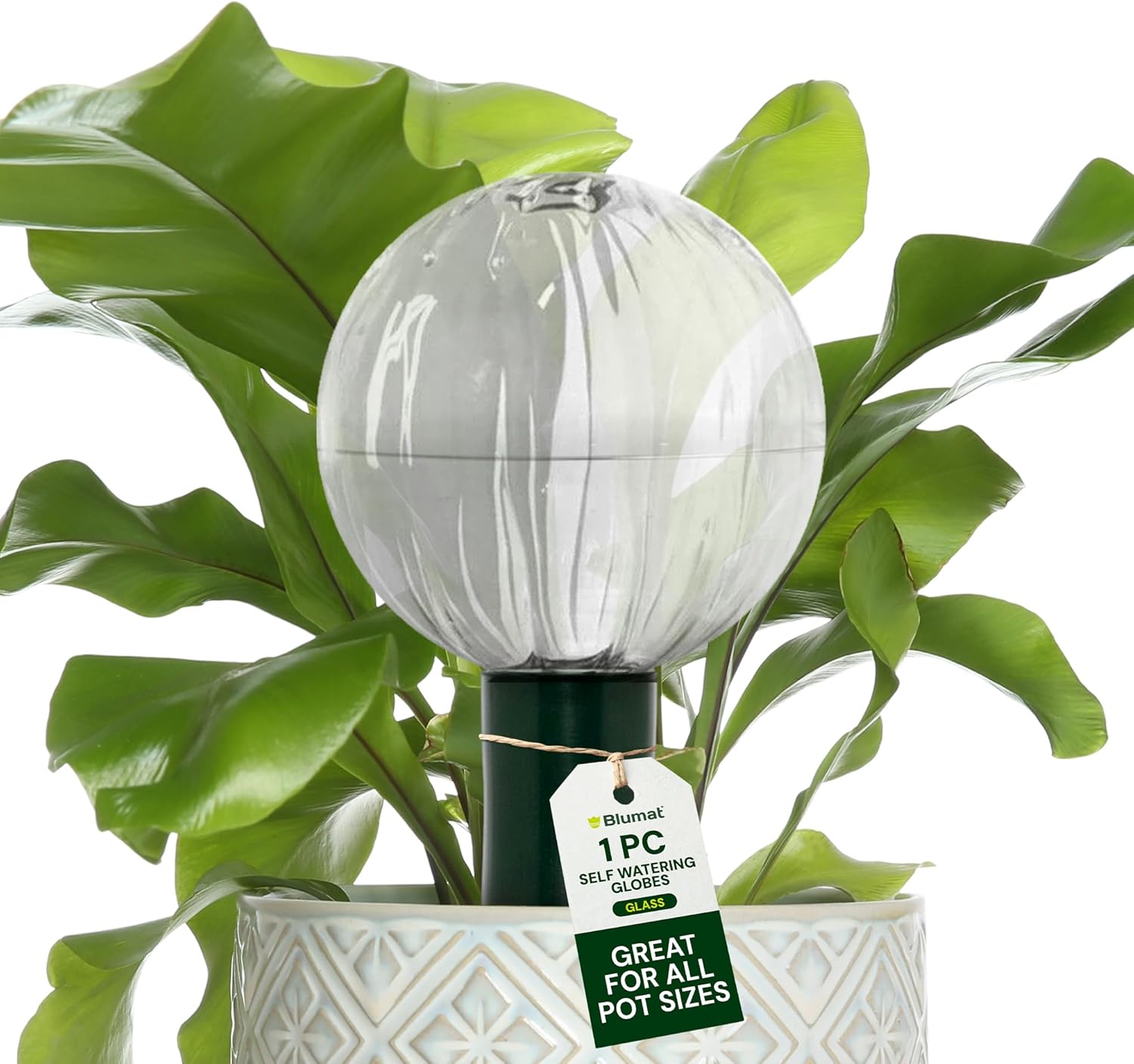 Blumat Glass Plant Self Watering Globes,Automatic Houseplant Drip Irrigation for Indoor Plants, Hanging Plants