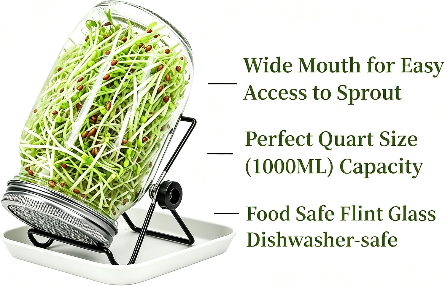 Lulonpon Sprouting Kit, 2 Sprouting Jar Kits, Wide Mouth Quart Mason Jars with Stainless Steel Screen Sprout
