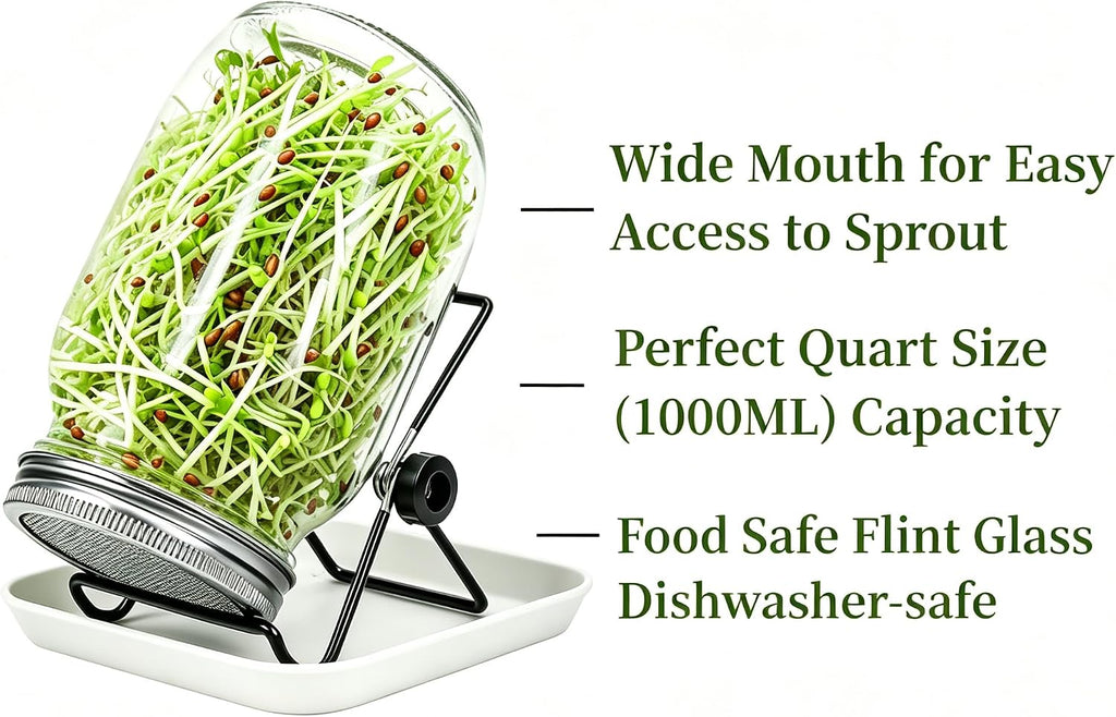 Lulonpon 4 Sprouting Jar Kit, Wide Mouth Quart Mason Jars with Stainless Steel Screen Sprout Lids