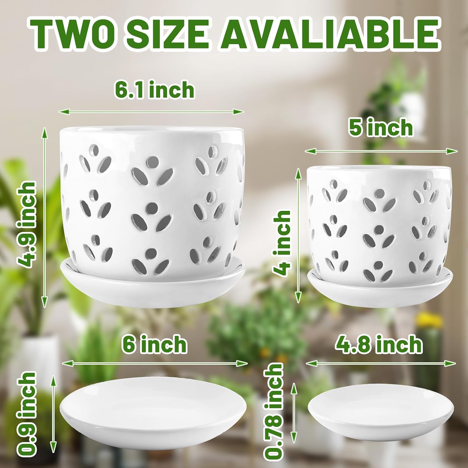 REMIAWY Orchid Pot, 2 Pack Orchid Pots with Drainage Holes and Saucer, 6 Inch and 5 Inch Large Ceramic Planter for