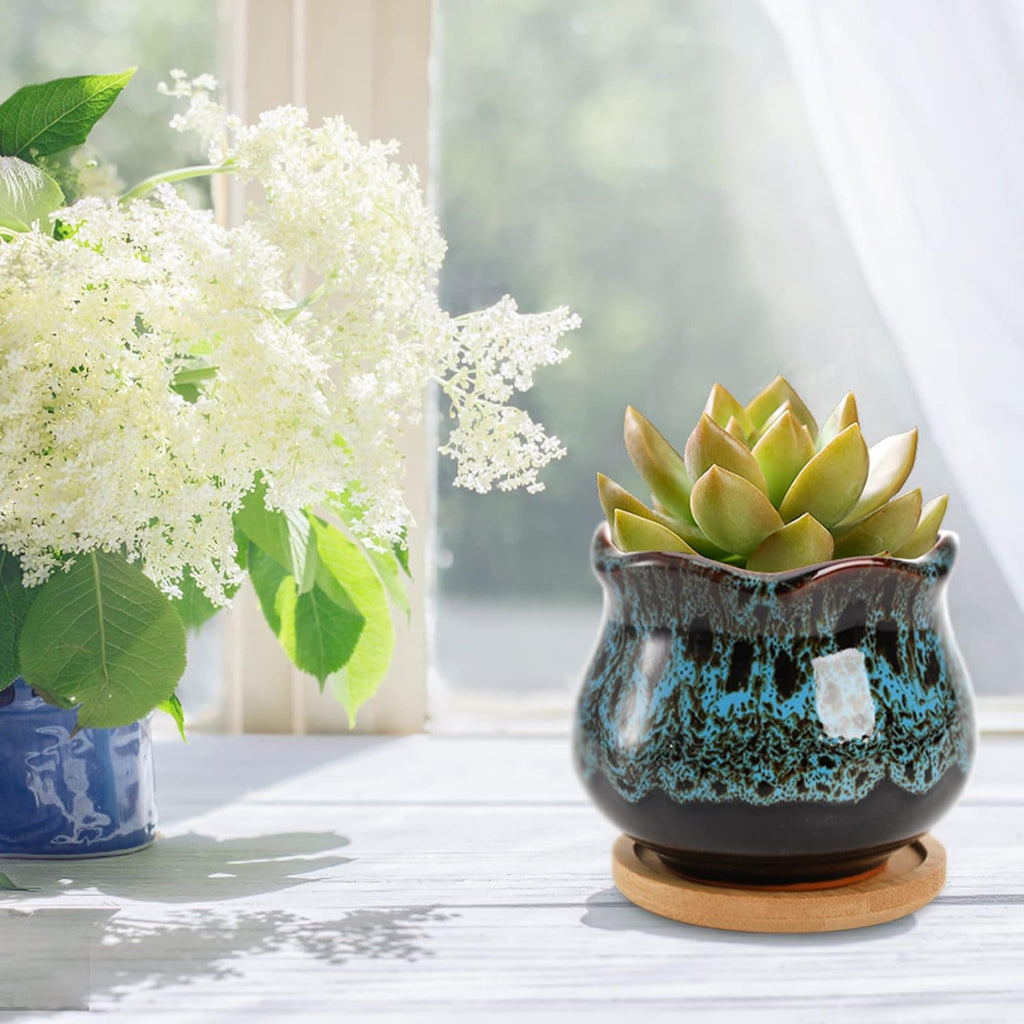 TOPZEA Set of 6 Succulent Plant Pots, 4 Inch Glazed Ceramic Cute Plant Pots with Drainage and Saucer, Mini Bonsai