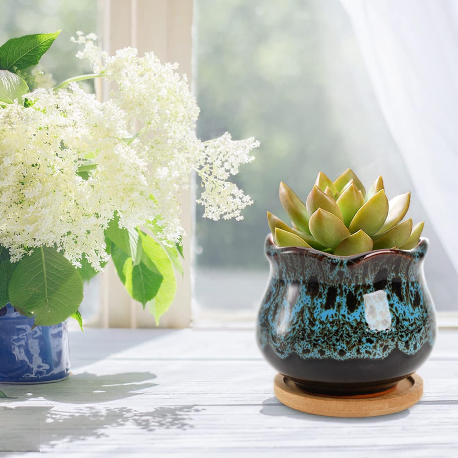 TOPZEA Set of 6 Succulent Plant Pots, 4 Inch Glazed Ceramic Cute Plant Pots with Drainage and Saucer, Mini Bonsai