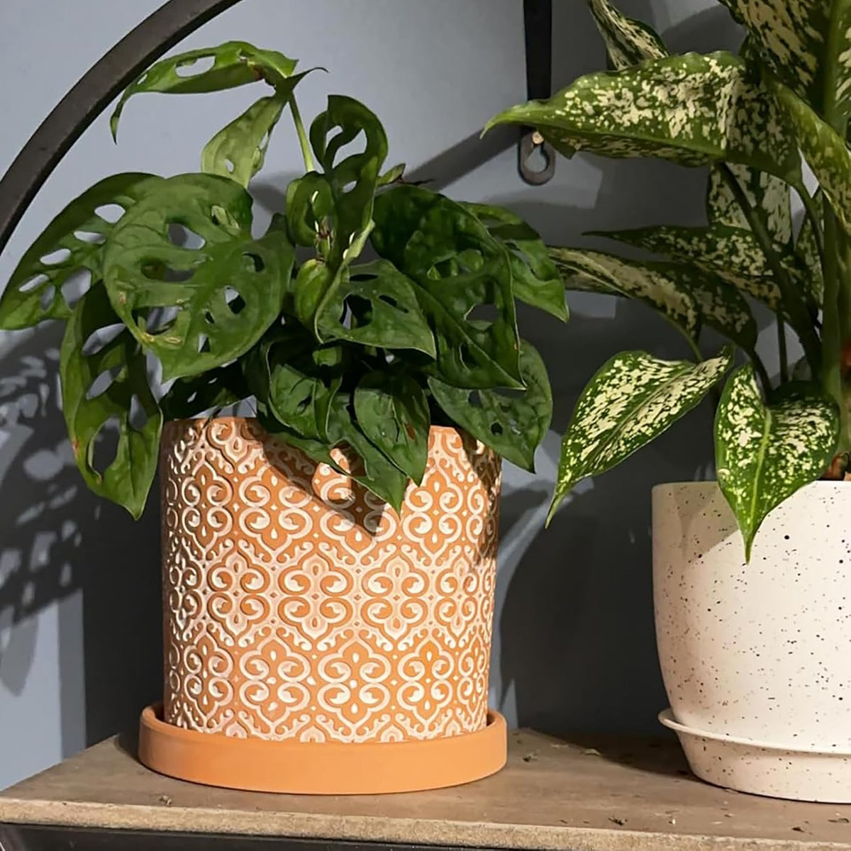 Frcctre 2 Pack Terracotta Pots for Plants, 5 Inch Succulent Planter Pot with Drainage Hole and Saucer, Clay Pottery