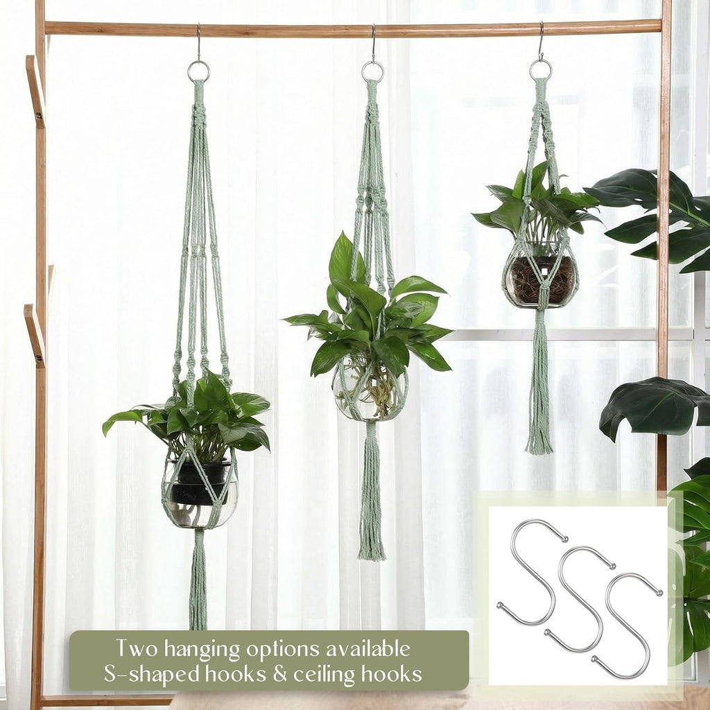 Colingmill 6 Pcs Plastic Plant Propagation with Boho Macrame Hanger Wall Plant Propagation Station Hanging Holder