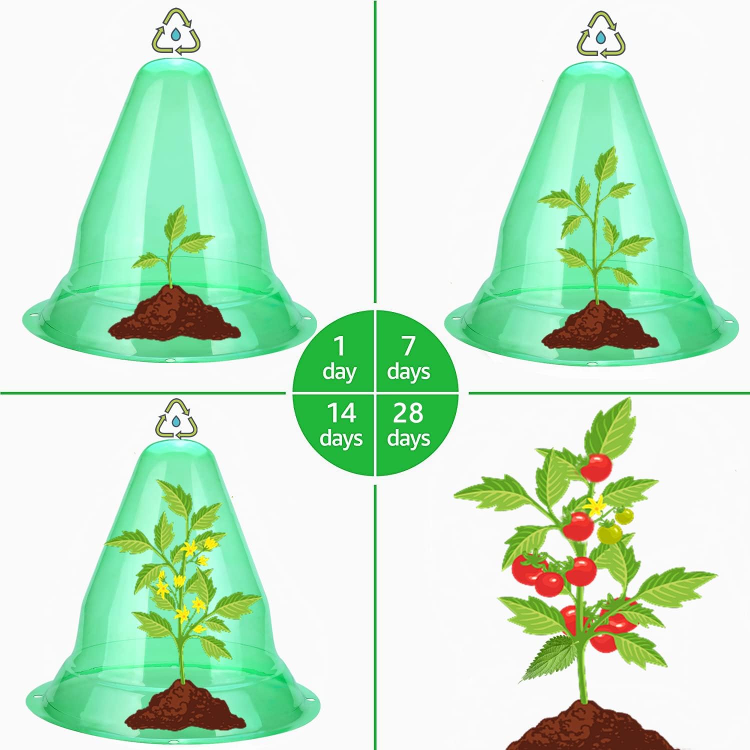 【20 Pieces】 Garden Cloches for Plants, Large Plant Covers Plant Protectors Transparent Bell Jar Cloches to Protect