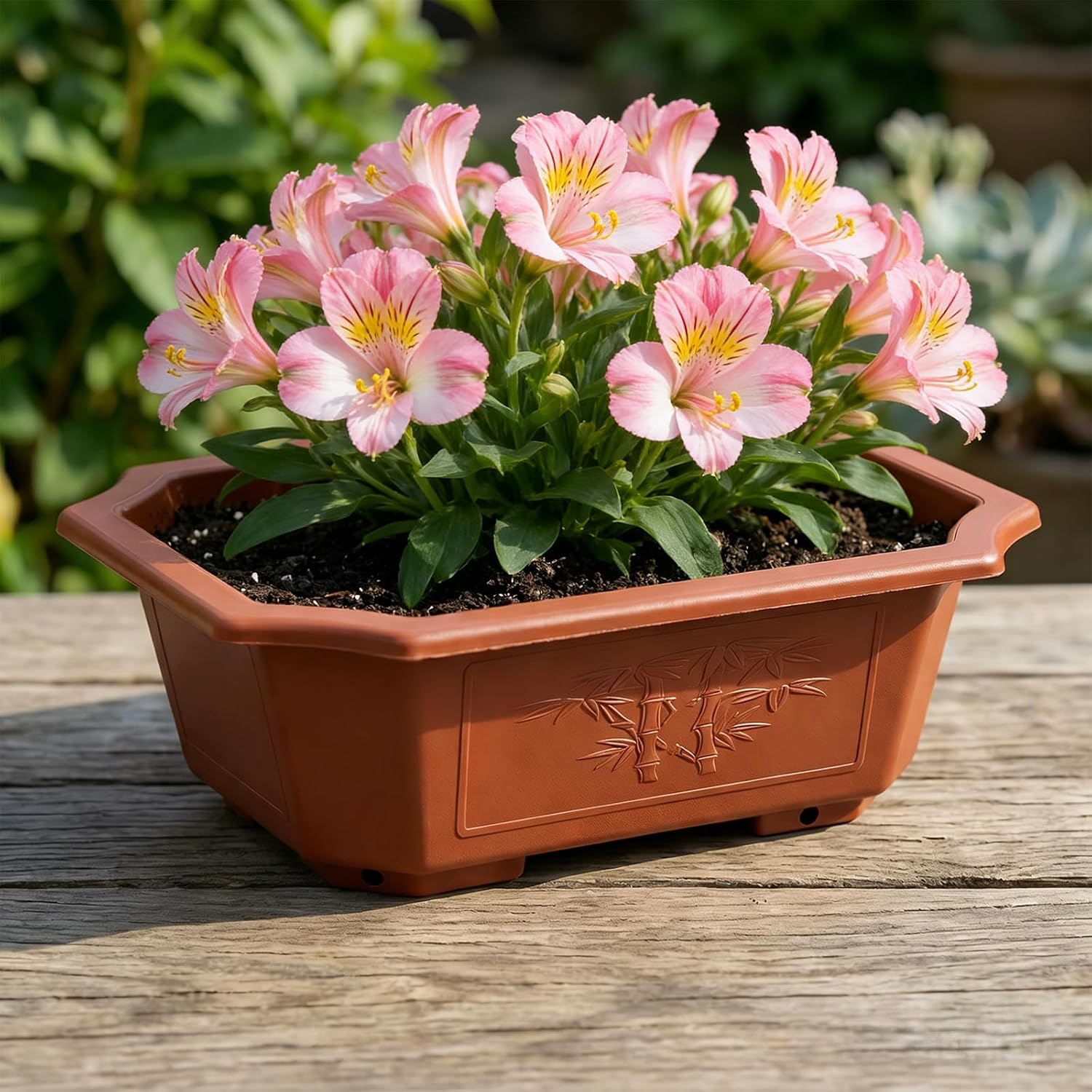 HOIGON 30 PCS 9 x 6.5 Inch Plastic Rectangular Bonsai Training Pots, Red Plastic Planter Pot with Drainage Hole