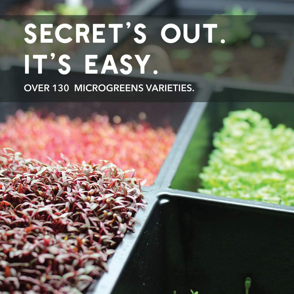 Mountain Valley Seed Co Lettuce Microgreens Seeds - 1 Lb ~400,000 Seeds | Grow Non-GMO Micro Lettuce & Baby Salad