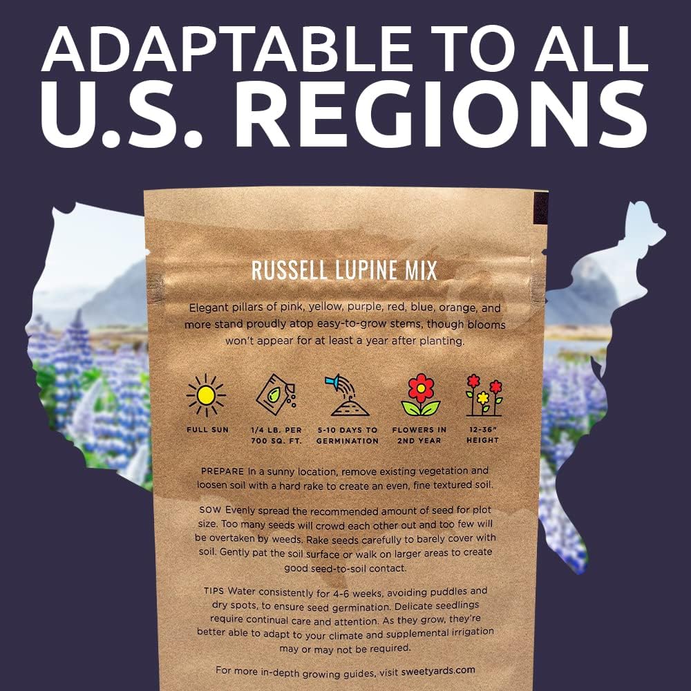 Russell Lupine Seeds – Bulk Quarter Pound Bag – Over 5,000 Open Pollinated Non-GMO Perennial Wildflower Seeds – Lupinus