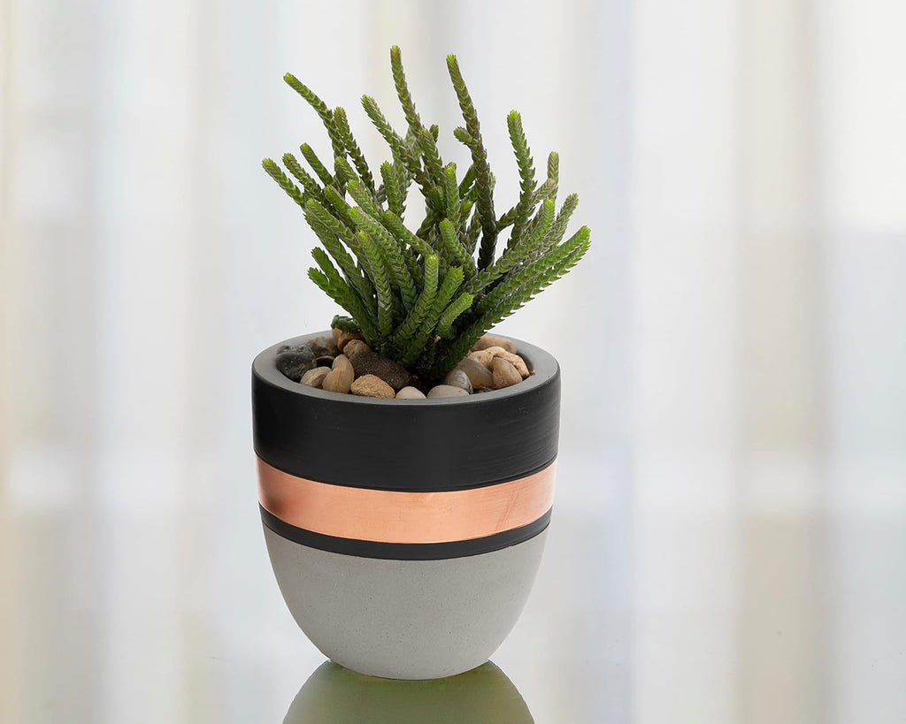 PASENITY Hand Painted Indoor Plant Pots, Set of 3 Modern Cement Succulent Pots with Drainage, Best Planters for Cactus
