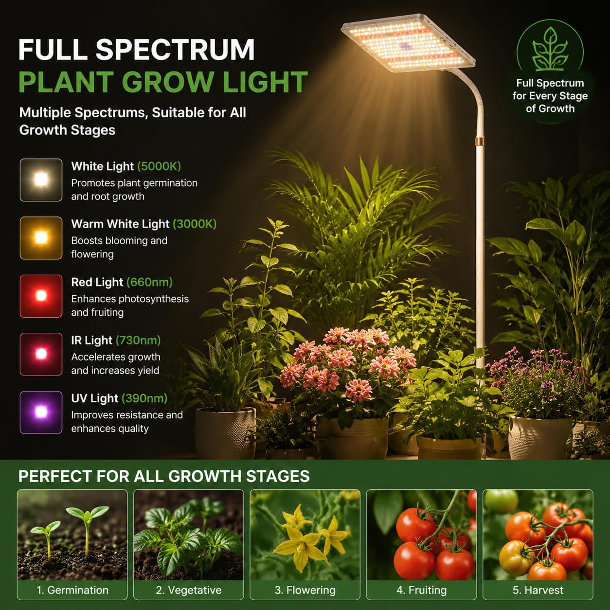 25W LED Grow Lights for Indoor Plants with Stand for Floor and Tabletop | Full Spectrum Plant Lights for Indoor Growing