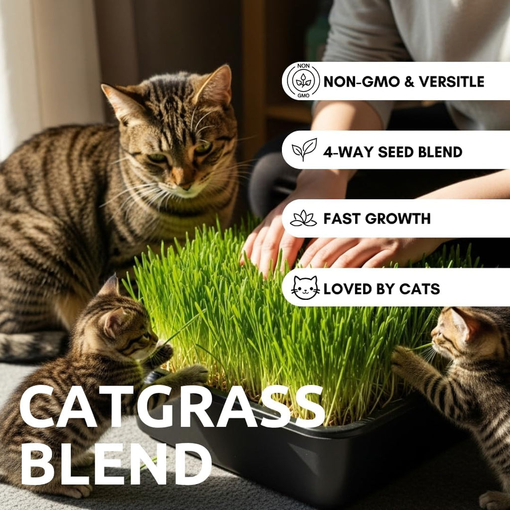 Cat Grass Seeds for Growing | 4 Way Blend, Rye, Wheat, Oats and Barley | Made in USA | Safe Non-GMO Pet Grass for Cats