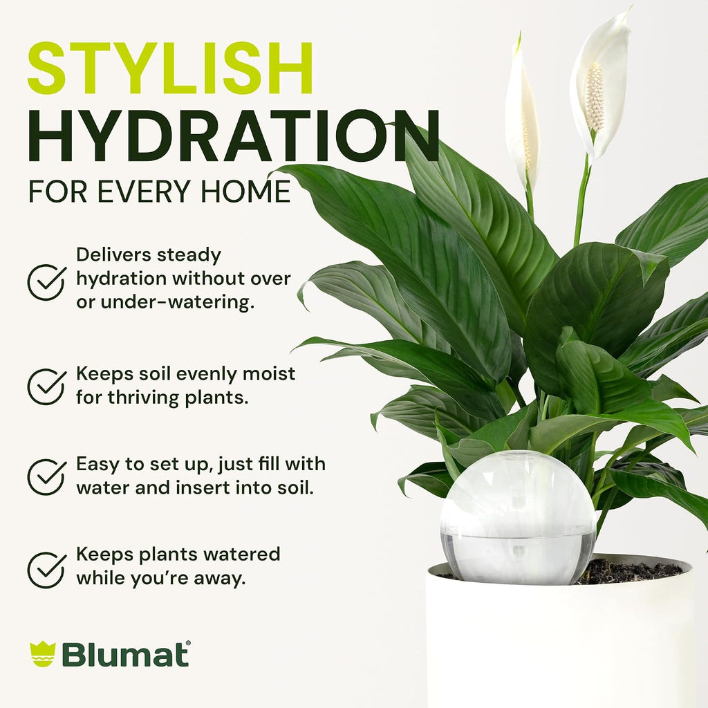 Blumat Clear Globe 3-Pack