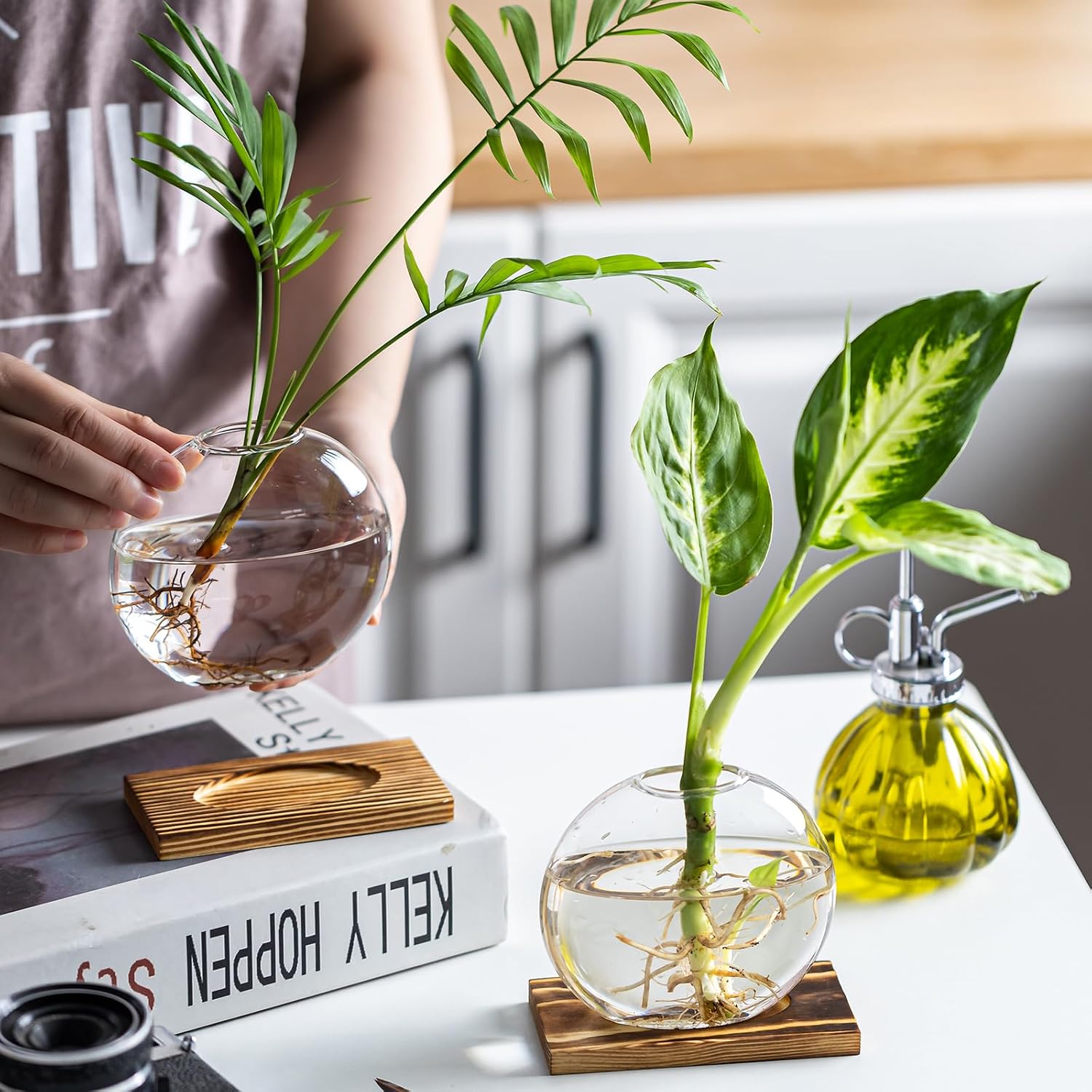 Glass Planter Propagation Station with Wooden Base - Clear Oblate Hydroponic Vase, Decorative Desktop Flower Vase for