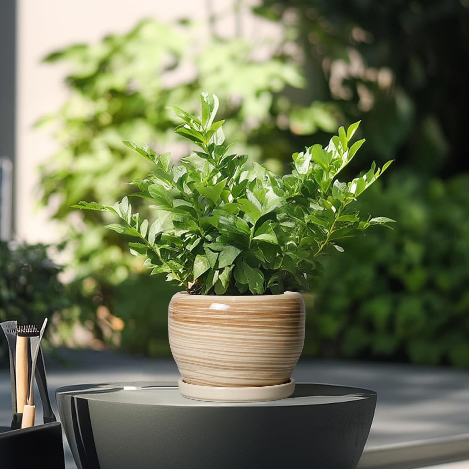 SQOWL Ceramic Pot for Plants - 6 Inch Indoor Planter with Drainage Hole and Tray, Round Modern Flower Pot Outdoor