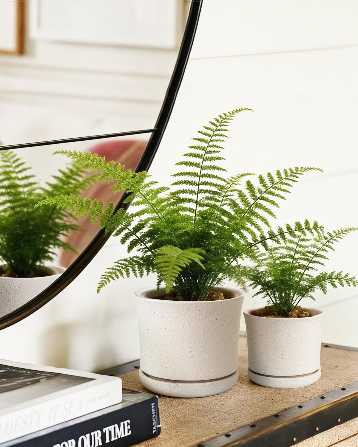 Ceramic Plant Pots, Set of 3, 4.3/5.6/6.9 Inch with Drainage | Modern matte white ceramic planters with attached