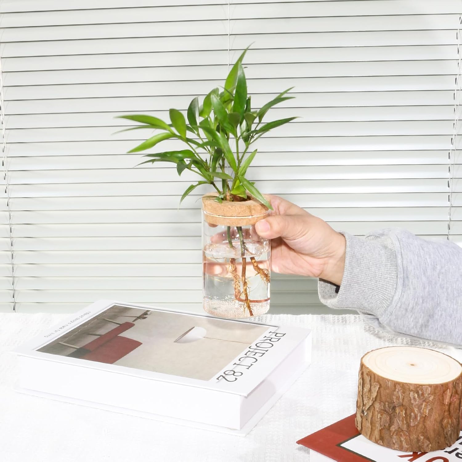 Separated Desktop Glass Flower Vases with Wooden Saucers - Ideal Plants Propagation Stations for Living Room, Bedroom