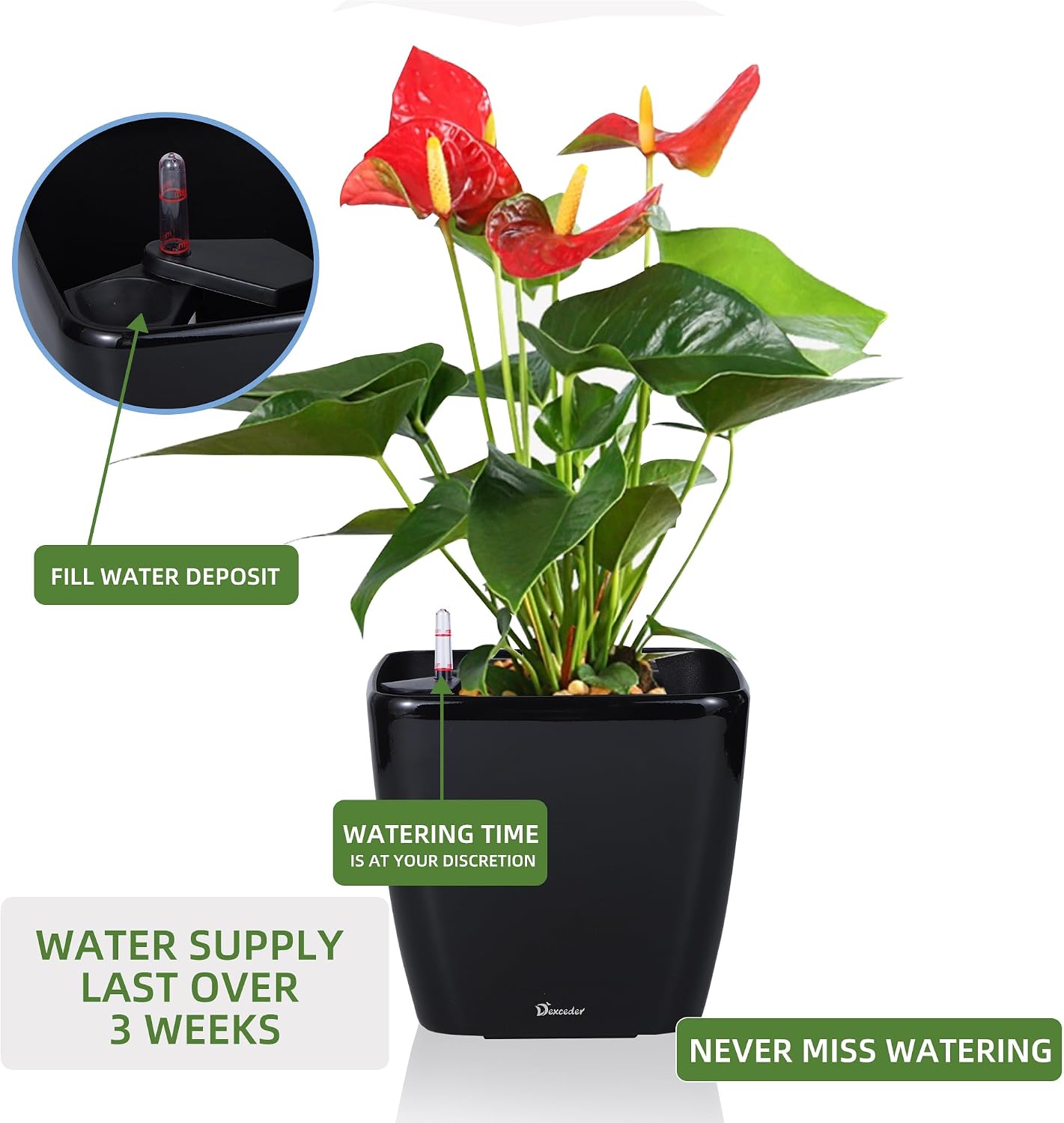 Dexceder 9x8 Self Watering Planter (Black High Gloss) | Inner Mat Design, Thickened Table Flower Plant Pot with Water