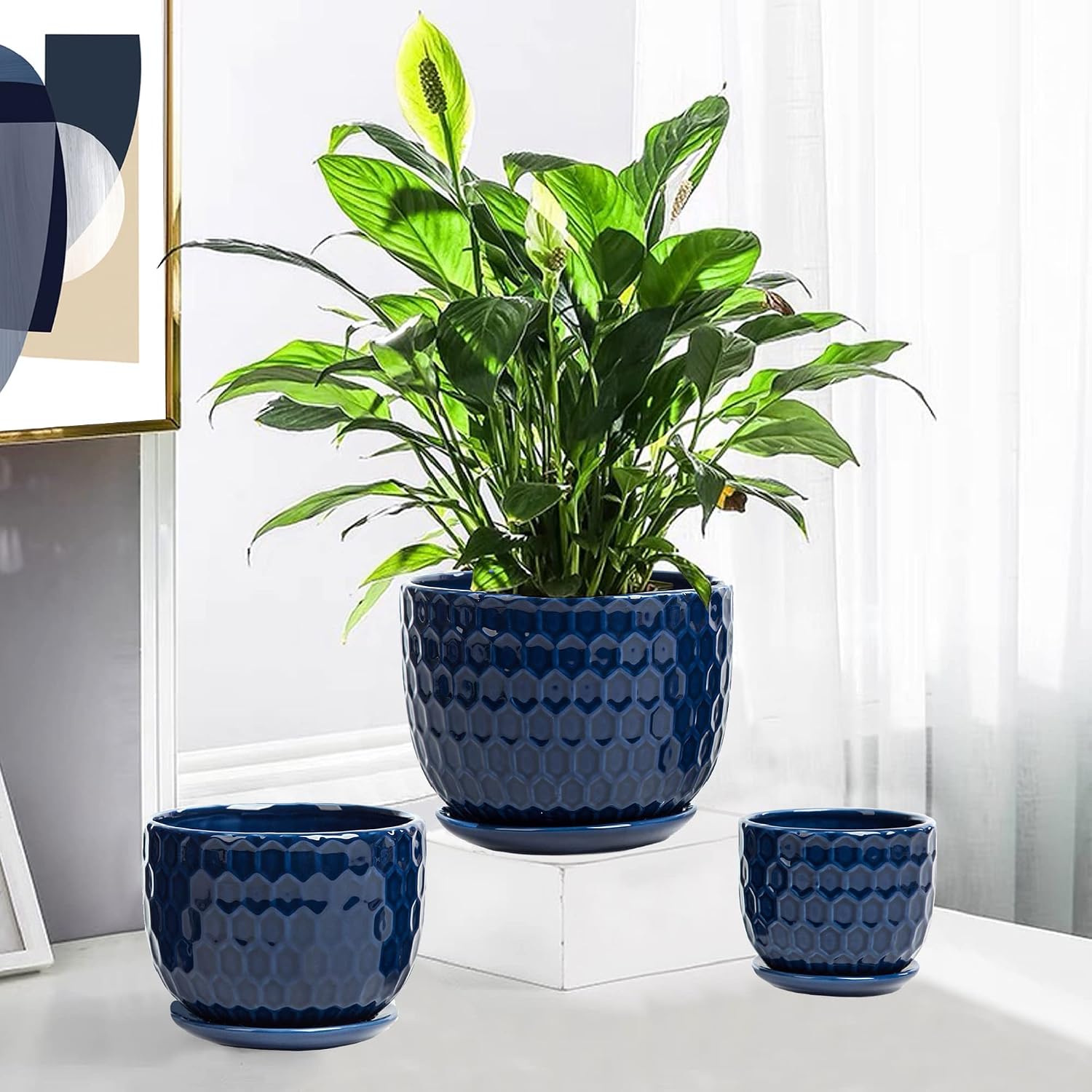 Ceramic Flower Pots with Drainage Hole and Saucer, North European Style Round Indoor Succulent Planters with Honeycomb