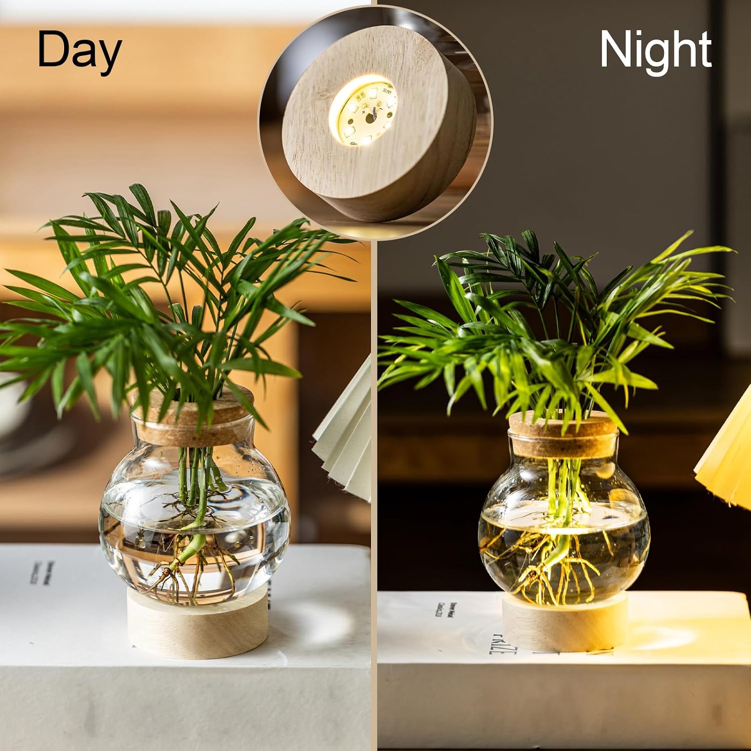 Propagation Stations, Plant Propagation Station with Light Base, Glass Propagation Vases, Hydroponic Vase for Plants