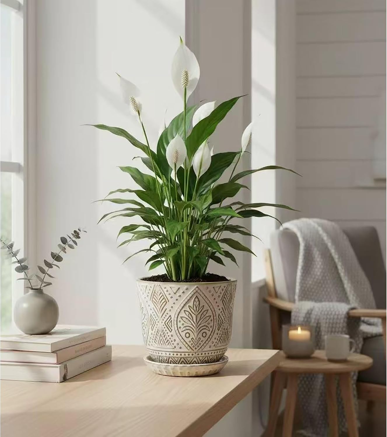 Gepege Ceramic Plant Pots, 6 Inch Indoor Planters with Drainage & Saucers | Ceramic pots for plants with drainage