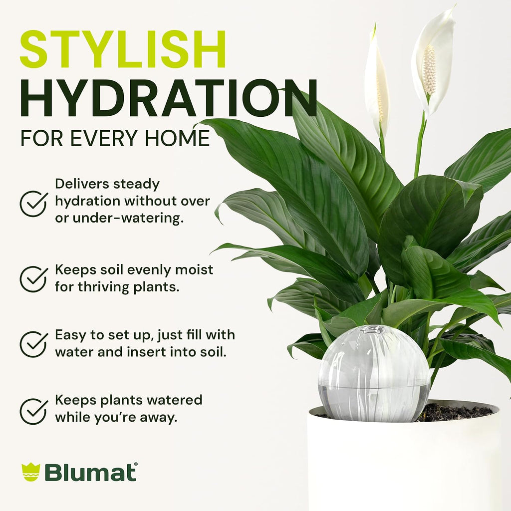 Blumat Glass Plant Self Watering Globes,Automatic Houseplant Drip Irrigation for Indoor Plants, Hanging Plants
