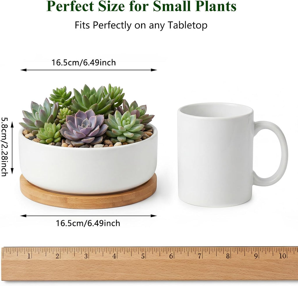 ZOUTOG Succulent Pots,6 Inch Succulent Planters with Drainage and Tray,White Ceramic Planters for Indoor Plants,Round