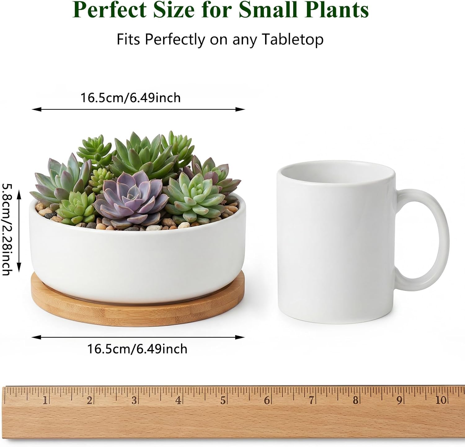 ZOUTOG Succulent Pots,6 Inch Succulent Planters with Drainage and Tray,White Ceramic Planters for Indoor Plants,Round